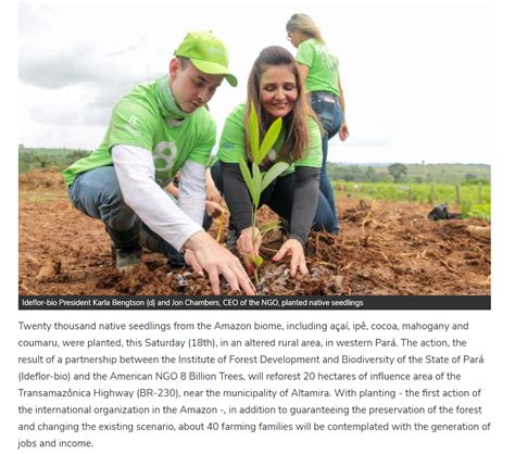 8 billion trees scam.